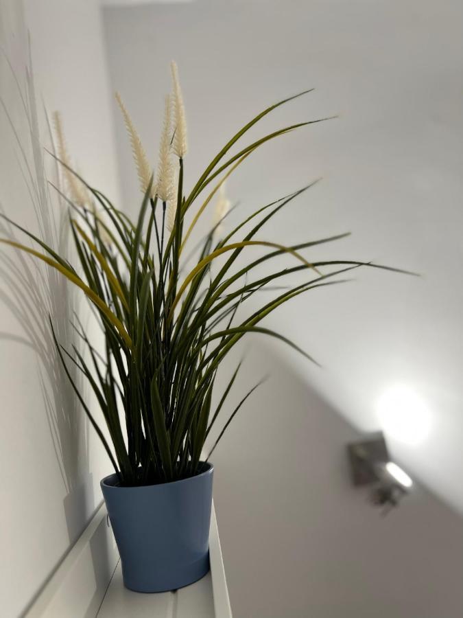 Adele Apartment Costa Adeje Екстер'єр фото